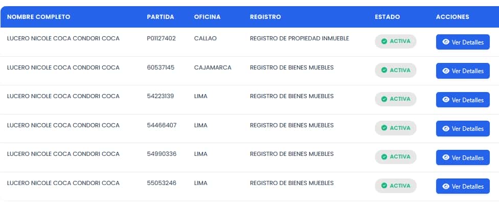 PROPIEDADES registradas A NOMBRE DE LUCERO NICOLE COCA CONDORI.
